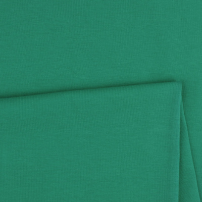 SINGIEL JERSEY 200 24-57 / ABUNDANT GREEN R