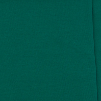 SINGIEL JERSEY 200 24-02 / KELLY GREEN R