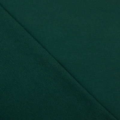 FRENCH TERRY 25-02 / VERDE