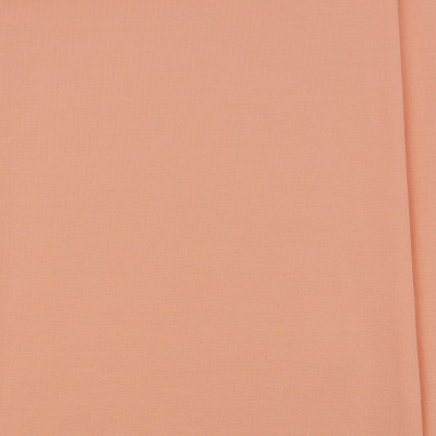 SINGIEL JERSEY 200 07-01 / SALMON R