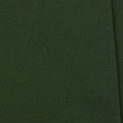 SINGIEL JERSEY 200 28-02 / GREEN R