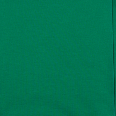 SINGIEL JERSEY 200 14-02 / IRISH GREEN R