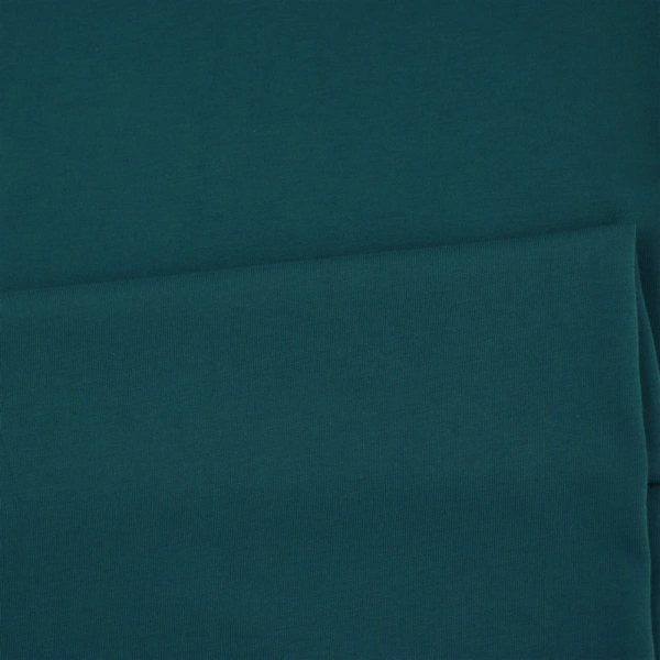 SINGIEL JERSEY 200 22-02 / PETROL R