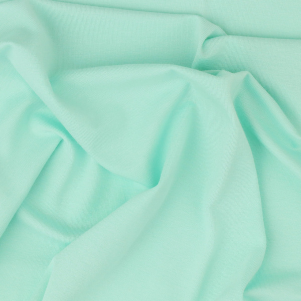 JERSEY WISKOZA 13-01 / MINT R