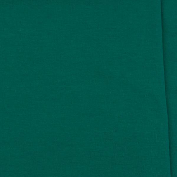 SINGIEL JERSEY 200 24-02 / KELLY GREEN R